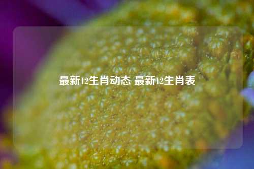 最新12生肖动态 最新12生肖表