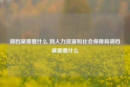 调档案需要什么 到人力资源和社会保障局调档案需要什么