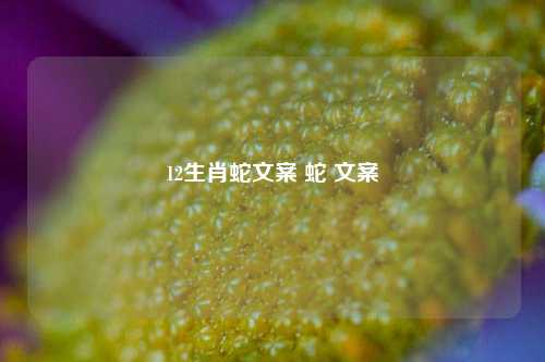 12生肖蛇文案 蛇 文案