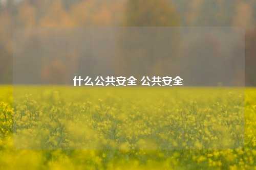 什么公共安全 公共安全