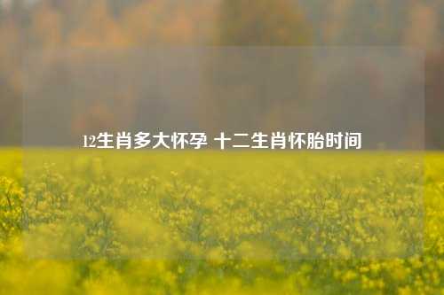 12生肖多大怀孕 十二生肖怀胎时间