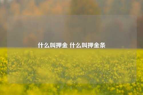 什么叫押金 什么叫押金条