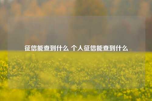 征信能查到什么 个人征信能查到什么