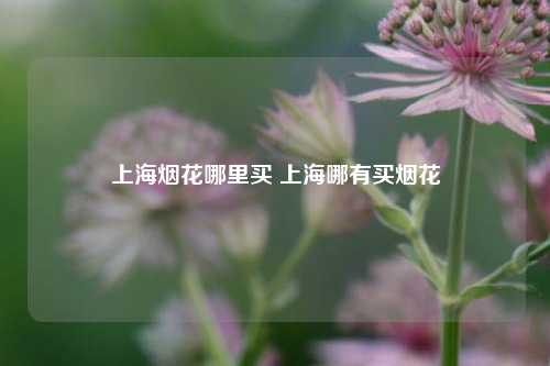 上海烟花哪里买 上海哪有买烟花