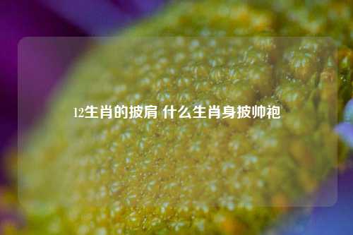 12生肖的披肩 什么生肖身披帅袍