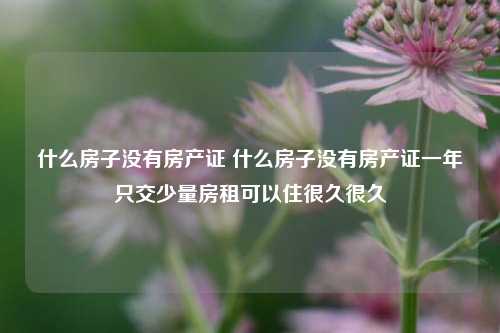 什么房子没有房产证 什么房子没有房产证一年只交少量房租可以住很久很久