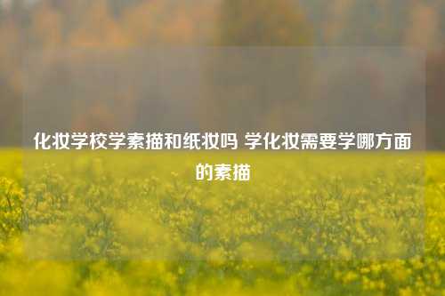 化妆学校学素描和纸妆吗 学化妆需要学哪方面的素描