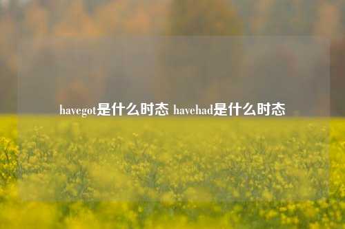 havegot是什么时态 havehad是什么时态