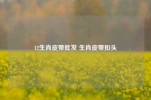 12生肖皮带批发 生肖皮带扣头