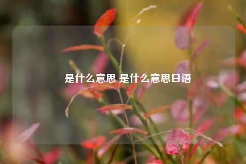 焋是什么意思 是什么意思日语