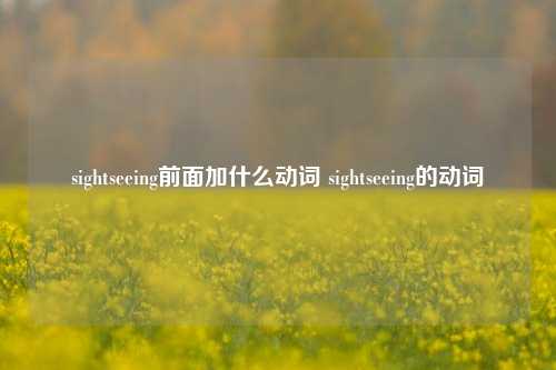 sightseeing前面加什么动词 sightseeing的动词