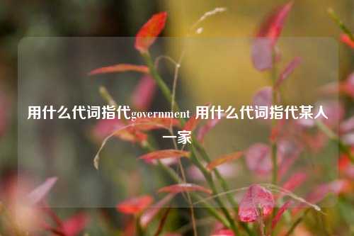 用什么代词指代government 用什么代词指代某人一家