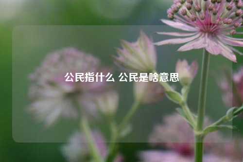 公民指什么 公民是啥意思