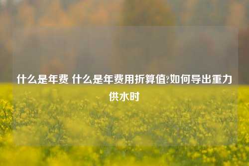 什么是年费 什么是年费用折算值?如何导出重力供水时