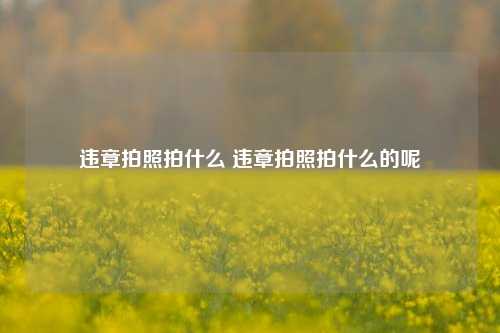 违章拍照拍什么 违章拍照拍什么的呢