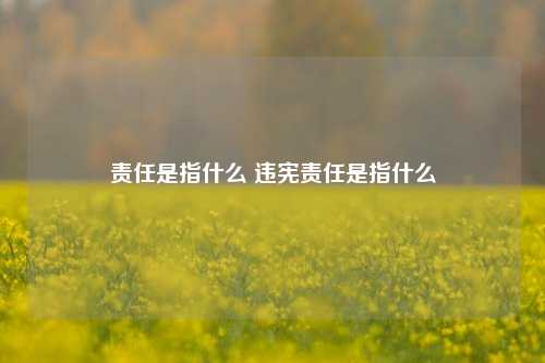 责任是指什么 违宪责任是指什么