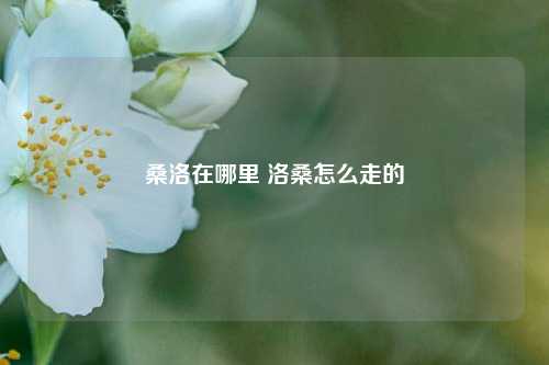 桑洛在哪里 洛桑怎么走的