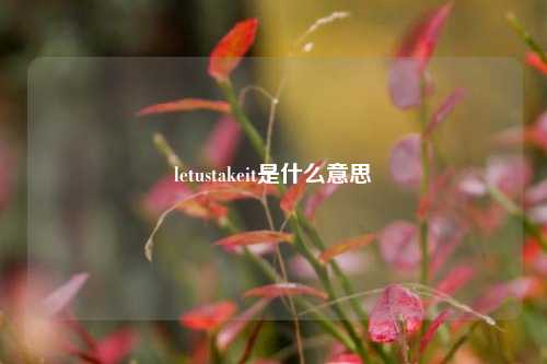 letustakeit是什么意思