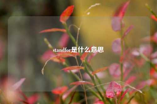 standfor是什么意思