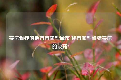 买房省钱的地方有哪些城市 你有哪些省钱买房的诀窍?