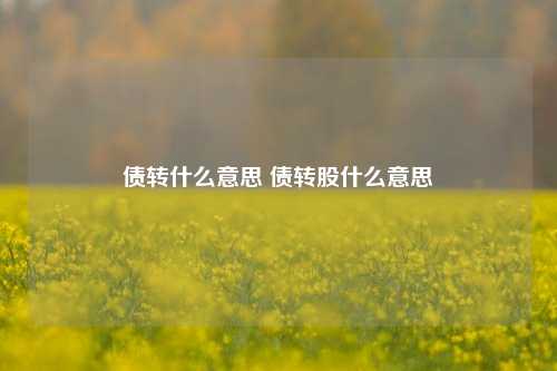 债转什么意思 债转股什么意思