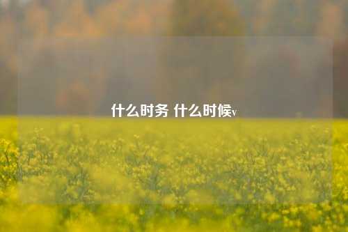 什么时务 什么时候v