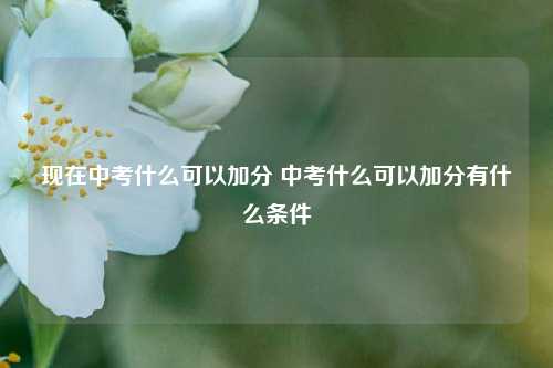 现在中考什么可以加分 中考什么可以加分有什么条件