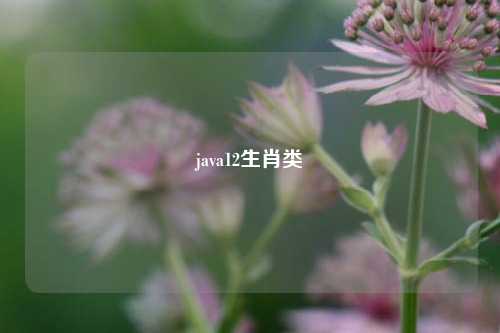 java12生肖类