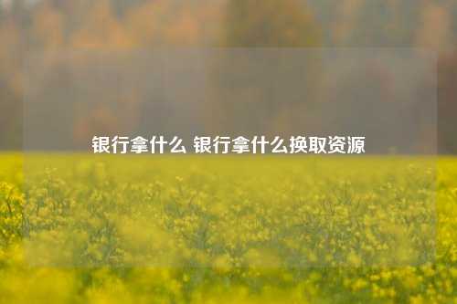 银行拿什么 银行拿什么换取资源