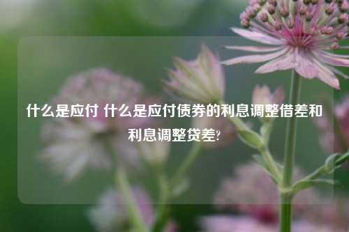 什么是应付 什么是应付债券的利息调整借差和利息调整贷差?