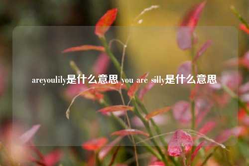 areyoulily是什么意思 you are silly是什么意思