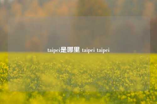 taipei是哪里 taipei taipei