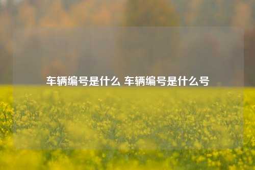 车辆编号是什么 车辆编号是什么号