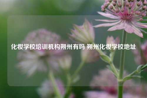 化妆学校培训机构朔州有吗 朔州化妆学校地址