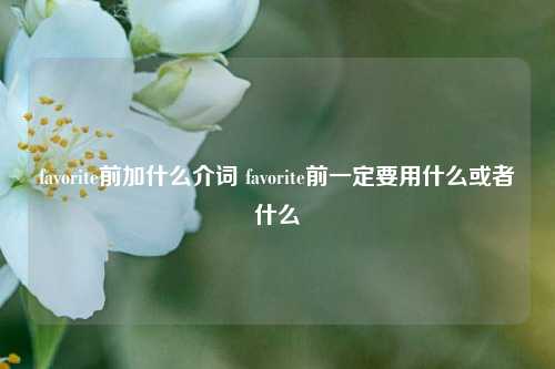 favorite前加什么介词 favorite前一定要用什么或者什么