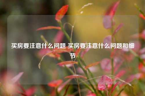 买房要注意什么问题 买房要注意什么问题和细节