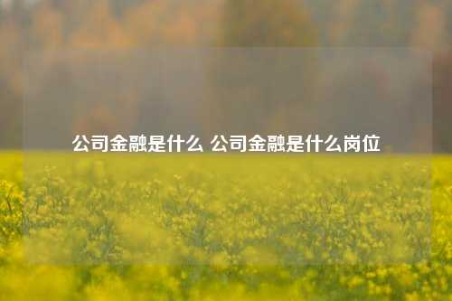 公司金融是什么 公司金融是什么岗位