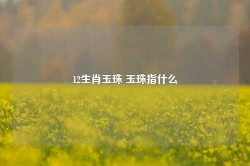 12生肖玉珠 玉珠指什么