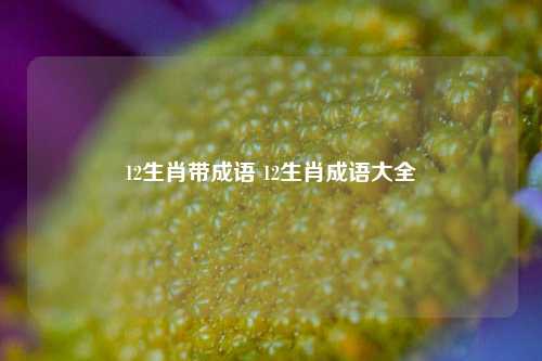 12生肖带成语 12生肖成语大全