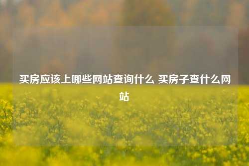 买房应该上哪些网站查询什么 买房子查什么网站