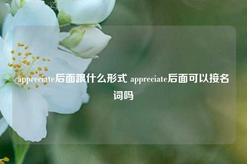 appreciate后面跟什么形式 appreciate后面可以接名词吗