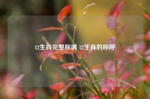 12生肖完整称谓 12生肖的称呼