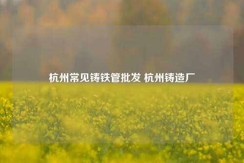 杭州常见铸铁管批发 杭州铸造厂