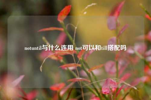 notuntil与什么连用 not可以和till搭配吗