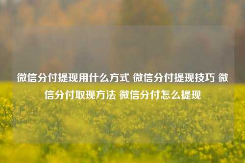 微信分付提现用什么方式 微信分付提现技巧 微信分付取现方法 微信分付怎么提现