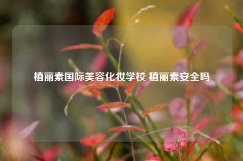 植丽素国际美容化妆学校 植丽素安全吗