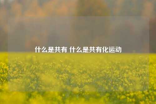 什么是共有 什么是共有化运动