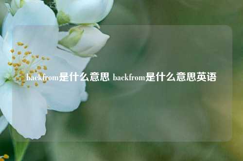 backfrom是什么意思 backfrom是什么意思英语