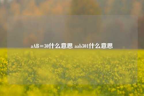 aAB=30什么意思 aab301什么意思