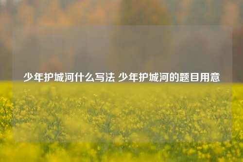 少年护城河什么写法 少年护城河的题目用意